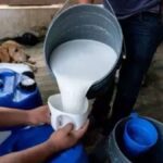 1784104894 FSSAI milk license 2 2026 03 2be31696900b1c7e67b09e03ed2dca9e 1200x675 1