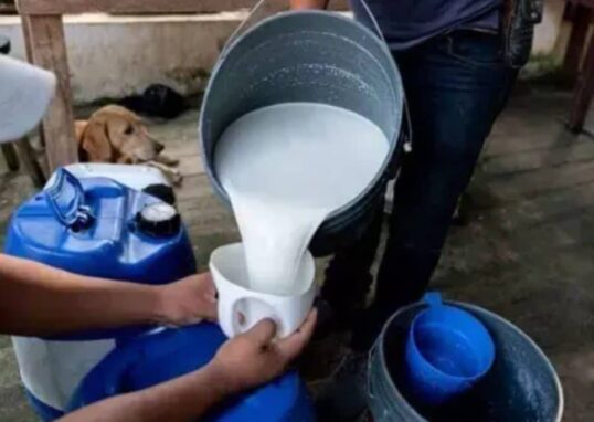 1784104894 FSSAI milk license 2 2026 03 2be31696900b1c7e67b09e03ed2dca9e 1200x675 1