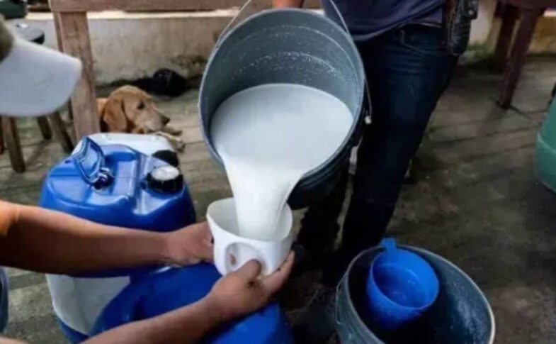 1784104894 FSSAI milk license 2 2026 03 2be31696900b1c7e67b09e03ed2dca9e 1200x675 1