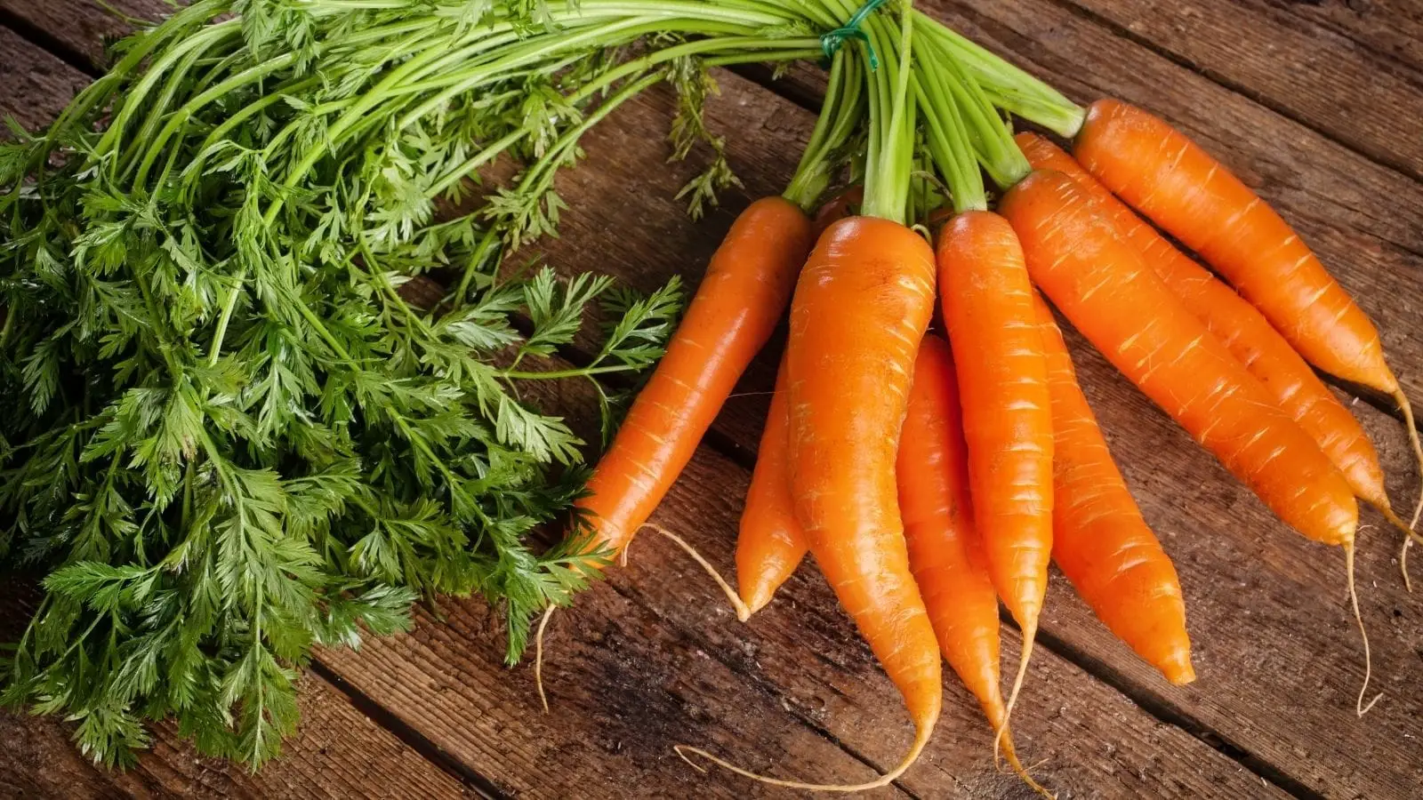 Can Carrots Sharpen Vision? Experts Bust The Popular Eye Health Myth Can Carrots Sharpen Vision? Experts Bust The Popular Eye Health Myth
