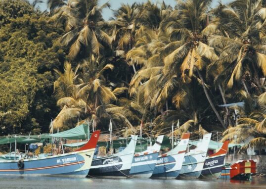 Kerala 2026 08 26e041d835d2d64bb16df28cc91db817 1200x675 1