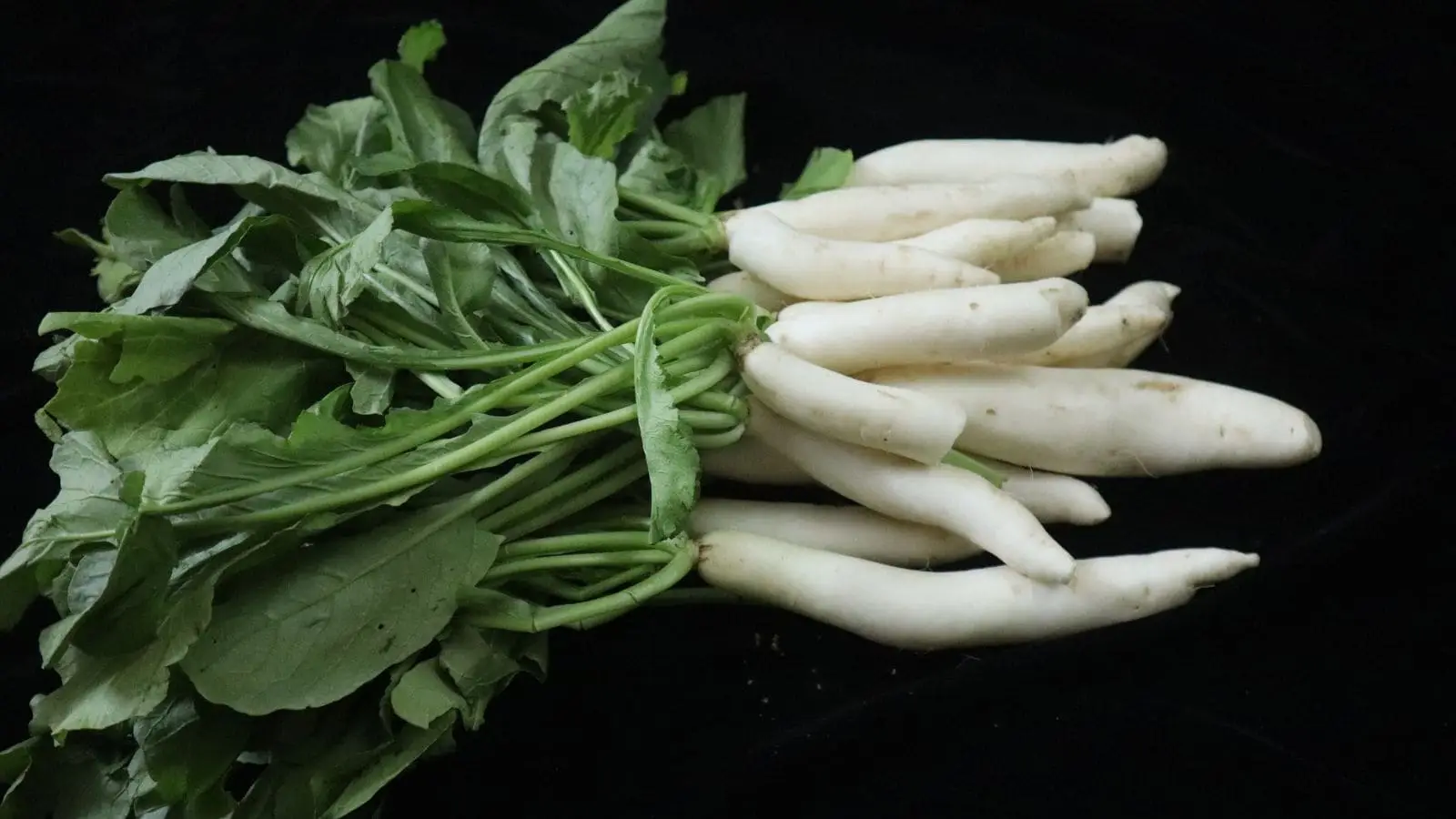 10 Creative Ways To Enjoy Radishes Beyond The Salad Bowl 10 Creative Ways To Enjoy Radishes Beyond The Salad Bowl