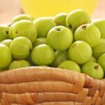 amala Benefits 1 2026 08 7b382c606c3749056a0df34edfe5b8bd 1200x675 1