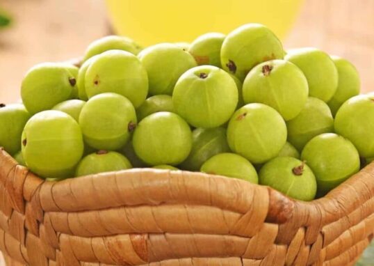 amala Benefits 1 2026 08 7b382c606c3749056a0df34edfe5b8bd 1200x675 1