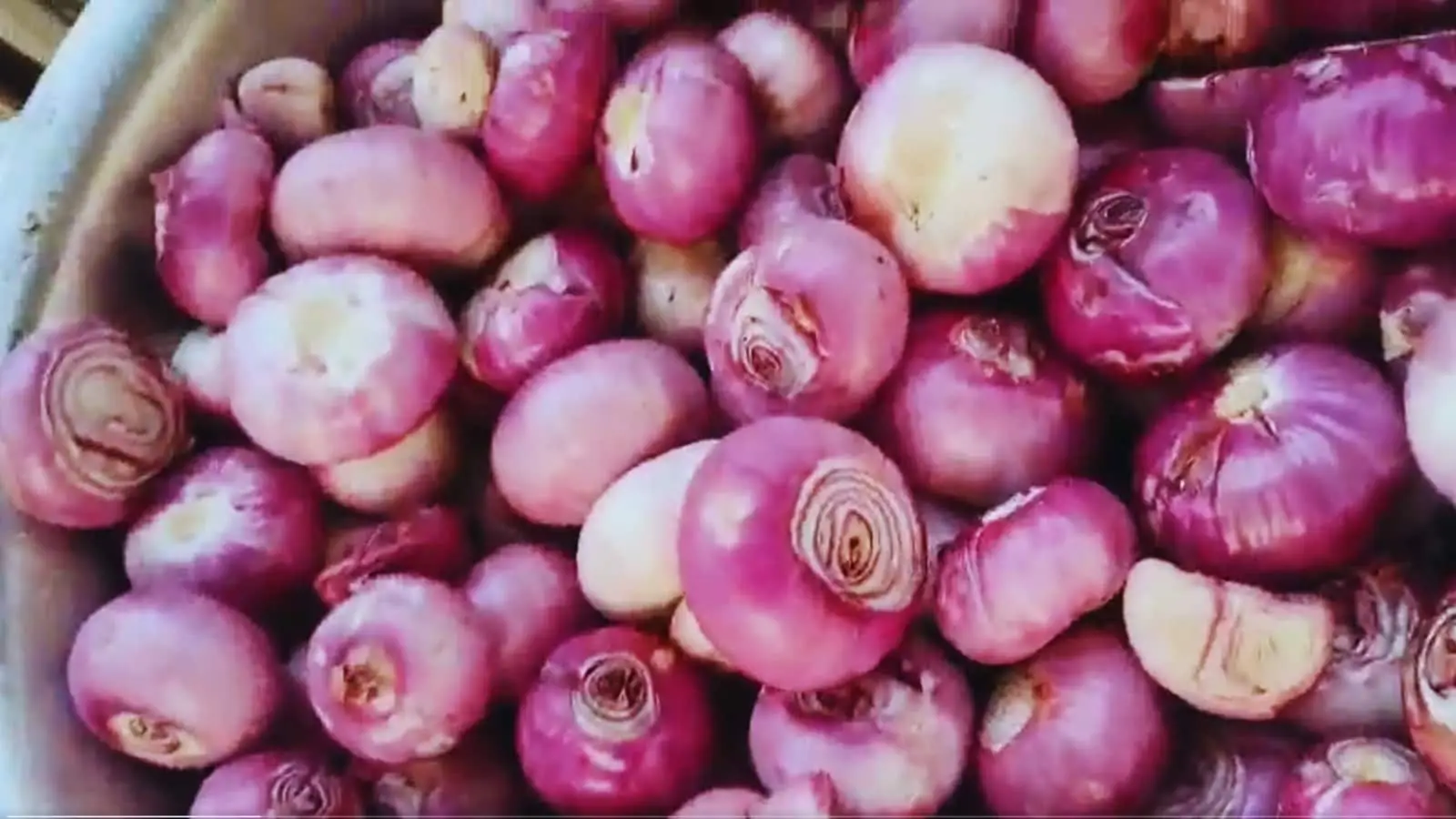 Onions Prices Are Rising, These 7 Vegetables Can Surprisingly Replace It In Indian Cooking 5 imported 8d649e51c9fede050851a65ab55ffa60