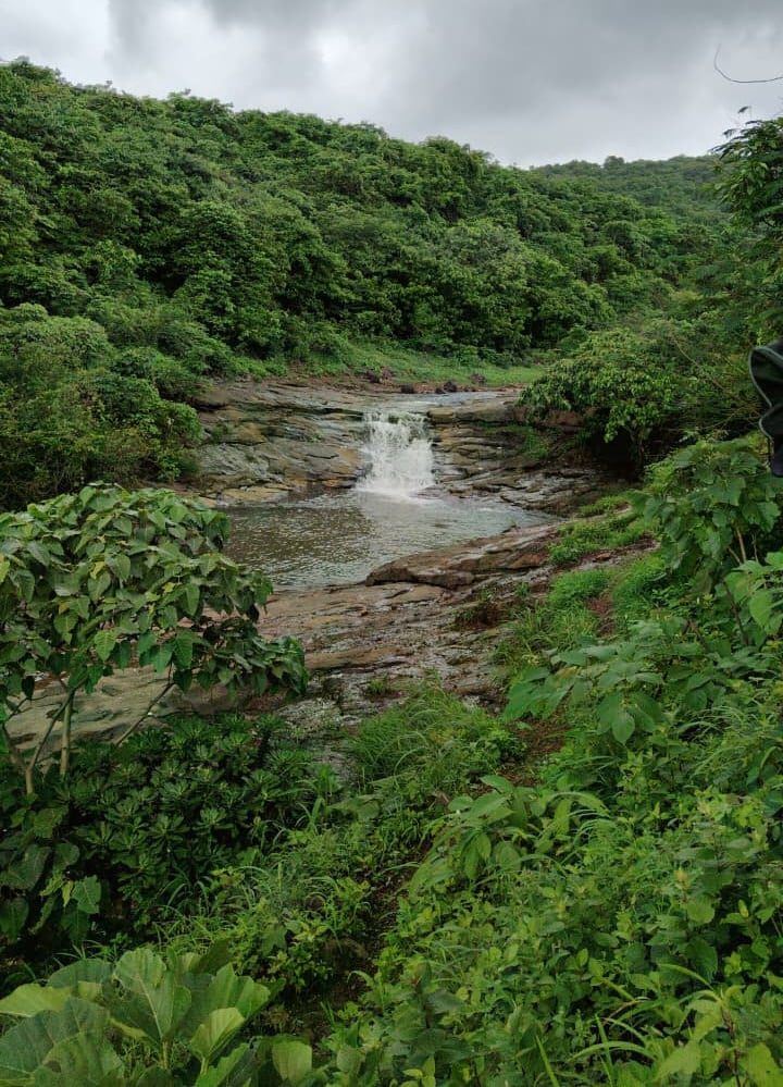 Wet rocks, dense vegetation and mist turn an ordinary weekend hike into a monsoon adventure.