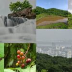 navi mumbai waterfall trekking 2026 08 906326e409a58bba06b239915ef47790 1200x675 1