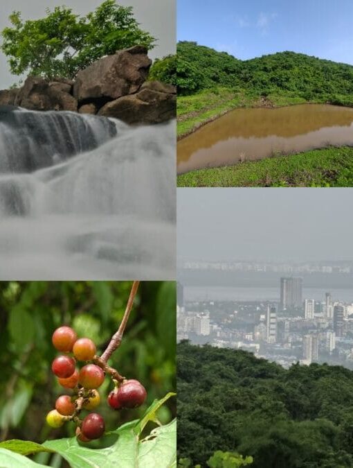navi mumbai waterfall trekking 2026 08 906326e409a58bba06b239915ef47790 1200x675 1