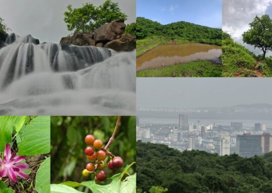 navi mumbai waterfall trekking 2026 08 906326e409a58bba06b239915ef47790 1200x675 1
